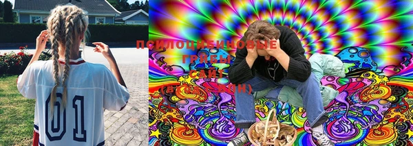 стафф Верея