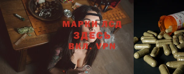 круглые Осинники