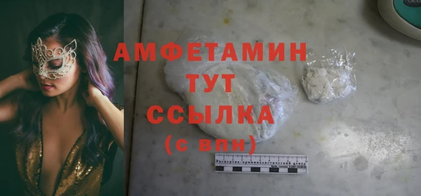 шишки Осташков