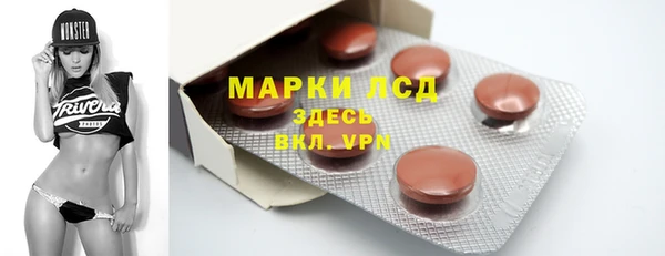 шишки Осташков