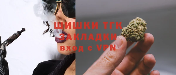 шишки Осташков