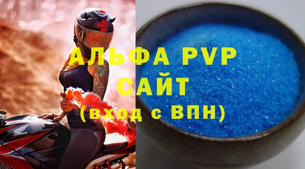 шишки Осташков