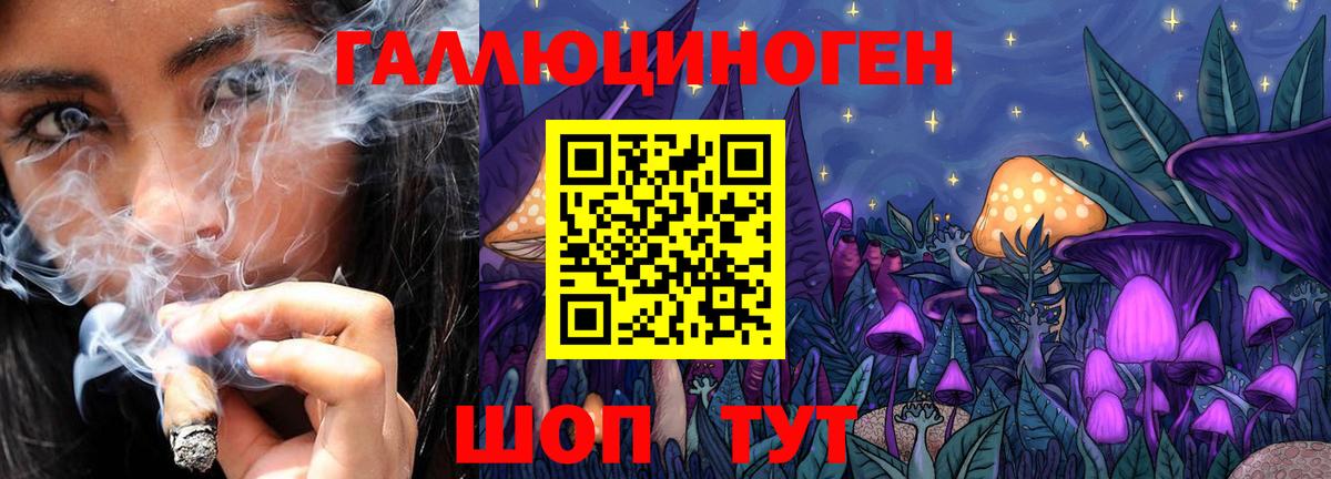 Галлюциногенные грибы GOLDEN TEACHER Ивантеевка