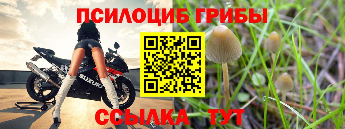 Псилоцибиновые грибы Cubensis  как найти закладки  Ивантеевка  Вход с VPN 