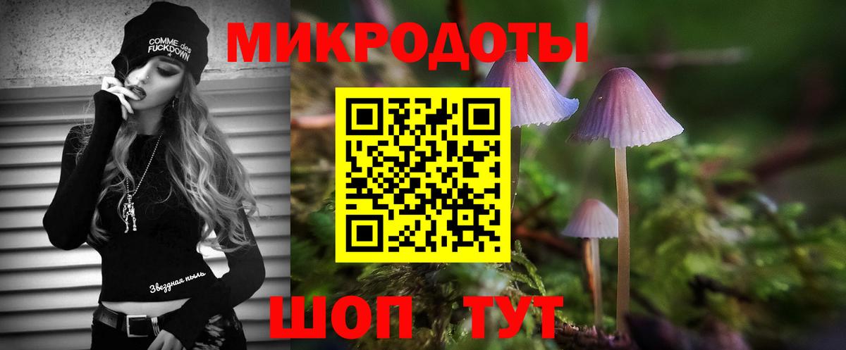 Псилоцибиновые грибы MAGIC MUSHROOMS  купить   Ивантеевка 