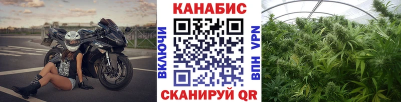 Шишки марихуана OG Kush  где можно купить   Ивантеевка 